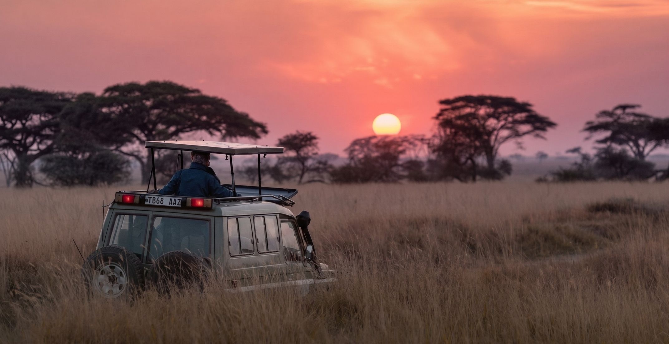 Exploreans nature-led safari experience