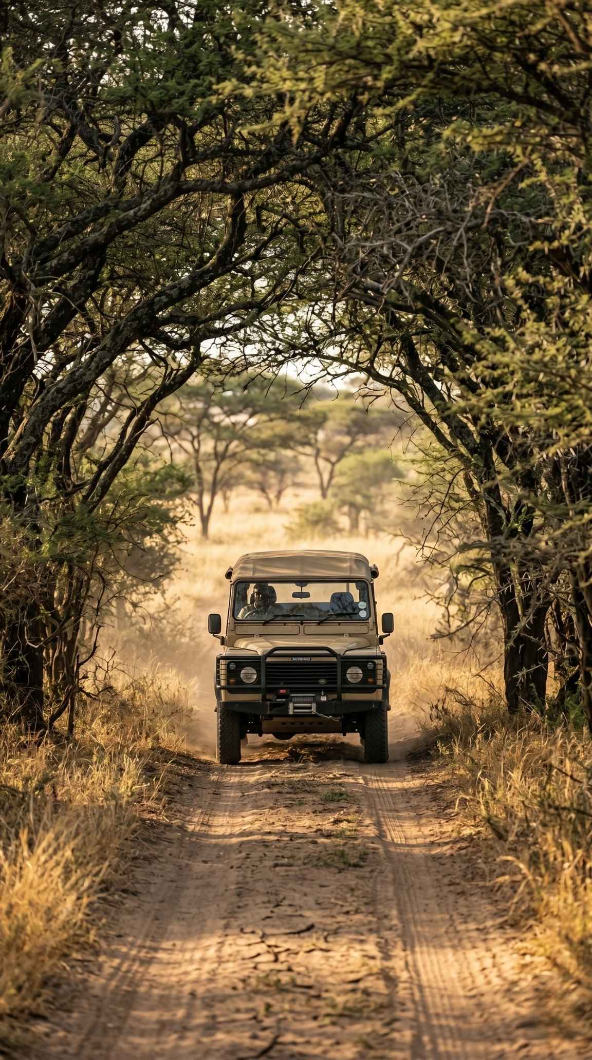 Safari vehicle driving through the Masai Mara wilderness